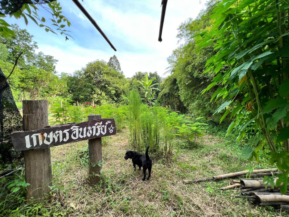 Phow Homestay Ban Mai  Dış mekan fotoğraf